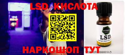 амф Сланцы
