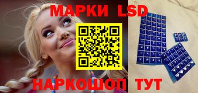 амф Сланцы