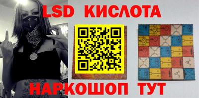 амф Сланцы