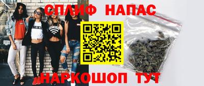 амф Сланцы