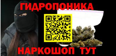 амф Сланцы
