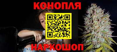 ПСИЛОЦИБИНОВЫЕ ГРИБЫ Славгород