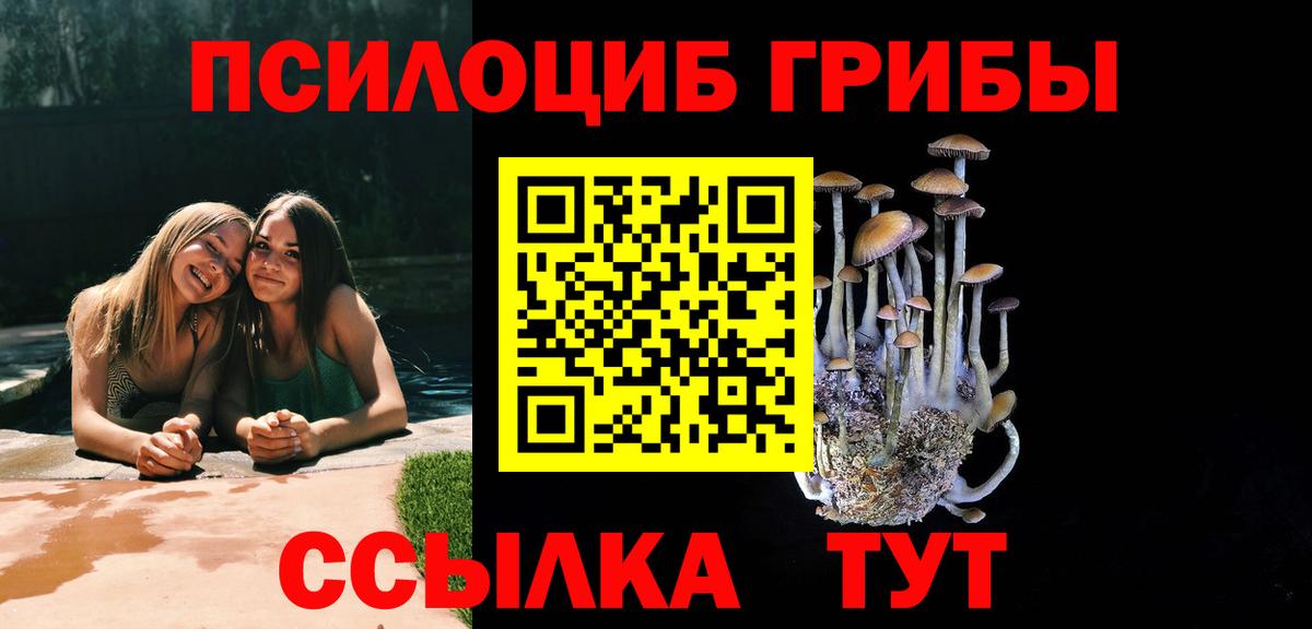 Галлюциногенные грибы GOLDEN TEACHER Нововоронеж